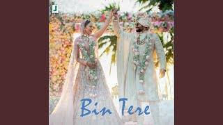 Bin Tere [upl. by Levine]