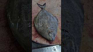 Pomfret Fish Cutting Skillsshorts [upl. by Alios829]