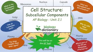 Cell Structure Subcellular Components  AP Biology 21 [upl. by Leirda]