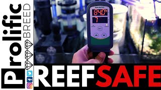 HOW TO SET UP AND PROGRAM INKBIRD ITC308S ITC308 FOR REEF TANK [upl. by Bilak]