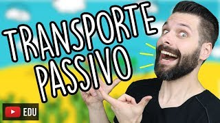 TRANSPORTE PASSIVO Difusão Simples  Difusão Facilitada  Osmose [upl. by Lemrac]