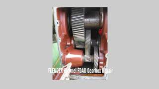 53 FLENDER Himmel FDAD Gearbox Repair [upl. by Bonnee]