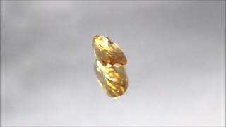 NATURAL YELLOW ZIRCON 446 CTS 1917 [upl. by Einahpit]