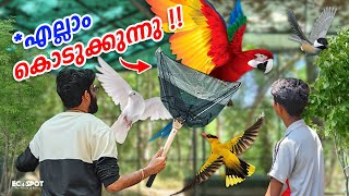 കിളികളെയെല്ലാം FREE ആയി കൊടുക്കുന്നു Exclusive Aviary Birds Giveaway for Subscribers [upl. by Annadiane]