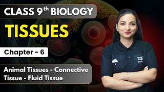 Tissues  Animal Tissues  Connective Tissue  Fluid Tissue  Class 9 Biology Ch 6  CBSE 202425 [upl. by Rollo196]