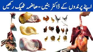 The Poultry Digestive System  Learn and Earn Through Poultry Farming  Part 02  Dr ARSHAD [upl. by Yardley]