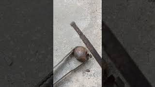 Amazing Working Casting Melting Aluminum into Snail out of Scrap shorts viralvideo reels art [upl. by Eibloc245]