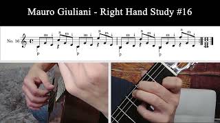 Mauro Giuliani Right Hand Study 16 [upl. by Yeliak6]