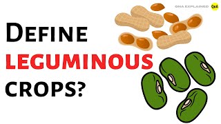 Define leguminous crops   QnA Explained [upl. by Adiaj172]