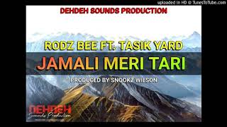 Jamali Meri Tari Rodz Bee ft Tasik Yard 2020vibes [upl. by Nawd]