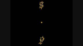 Are you Can you Were you Felt  Shabazz Palaces [upl. by Leela]