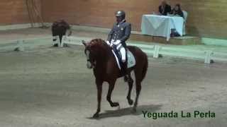 ALCAIDE amp CLAUDIO CASTILLA  KUR GRAN PREMIO  COPA SM REY [upl. by Tallu]