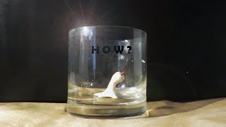 How the Homunculus moves in the Glass [upl. by Jc]