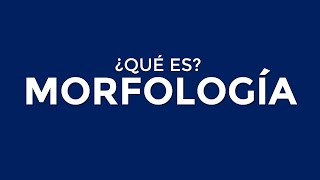 ¿Qué es la MORFOLOGÍA [upl. by Annaoi]