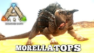 Taming A Morellatops  Ark Survival Evolved  Scorched Earth [upl. by Motteo520]