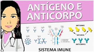 Imunologia 08  Antígeno e Anticorpo  Vídeo aula de sistema imune [upl. by Filiano]