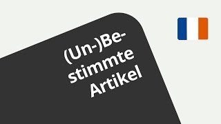 Der unbestimmte und der bestimme Artikel im Französischen  Französisch  Grammatik [upl. by Ydnem910]