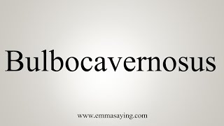 How To Say Bulbocavernosus [upl. by Namad284]