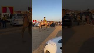 Jaisalmer  Sam Sand Dunes  Camel Safari  Desert Safari jaisalmer rajasthan tour samsanddunes🐪 [upl. by Artied]