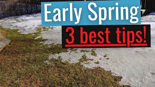 3 Best Tips for Early Spring Lawn Care [upl. by Ainivad619]