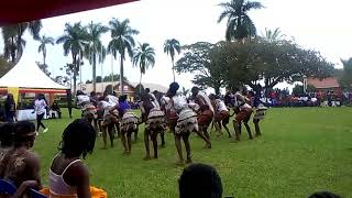 Original laka laka dance [upl. by Fishbein]