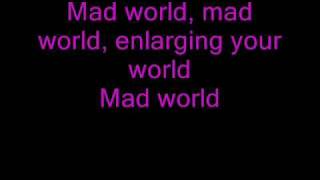 Mad World Gary Jules lyrics [upl. by Arihk]