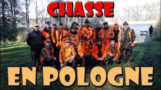 CHASSE EN POLOGNE 2015 [upl. by Okika]