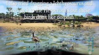 Hesperornis tame Ark survival evolved PS4 [upl. by Judd]