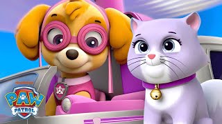 PAW Patrol Skye Makes a Back to School Rescue w Chase amp Ryder  Shimmer and Shine [upl. by Oam]