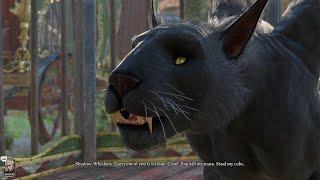 BG3 Baldurs Gate 3 Circus of the Last Days ShadowWhiskers the Displacer Beast [upl. by Letnom]