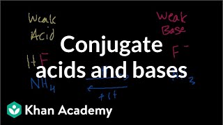 Conjugate acids and bases [upl. by Greff19]