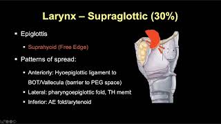 03 TNM Staging Larynx Hypopharynx [upl. by Aridan]