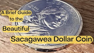 A Brief Guide to Sacagawea Coin Values [upl. by Iaht]