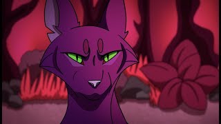 Mirrors  Hollyleaf PMV [upl. by Luing]