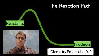 The Reaction Path [upl. by Ynafit]