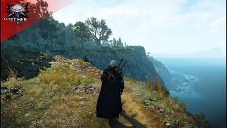 The Witcher 3  Music amp Ambience  Walking through beautiful island of Skellige [upl. by Frodin]