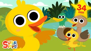 Ducks Ducks Ducks 🦆  Quacky Kids Songs  Super Simple Songs [upl. by Gretna516]