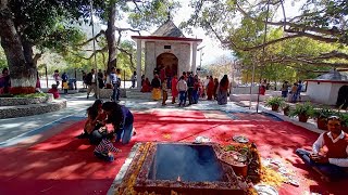 रुद्रेश्वर महादेव मंदिर सनणाRudreshwar Mahadev Temple Sanara  Almora uttarakhand [upl. by Ahseki]