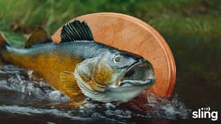 Mr Fish Meets Sling  Sling TV Commercial 2024 [upl. by Winikka]