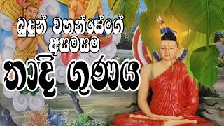 තාදි ගුණය  Thadi gunaya ධර්මාලෝකය  Dharmalokaya [upl. by Gewirtz334]