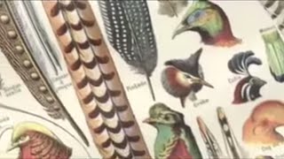 Olivier Messiaen 19081992 Messiaens use of birdsong [upl. by Gayla]