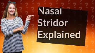 What is nasal stridor [upl. by Lenneuq872]