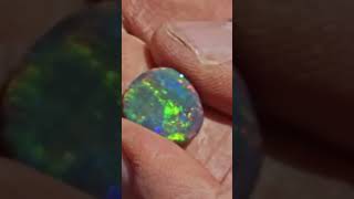 Bushmen Find An Exquisite RARE Black Opal outbackopalhunters shorts [upl. by Derej]