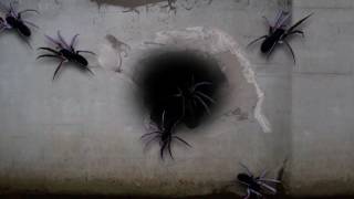 GIANT SPIDERS  HOLIDAYPROJECTIONCOM [upl. by Sitnik]