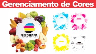 Gerenciamento de Cores CMYK  Flexografia Descomplicada [upl. by Kania]