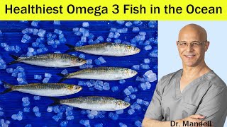 Heart HealthyPrevent Clogged ArteriesBEST Omega 3 Fish in the Ocean  Dr Mandell [upl. by Harris]