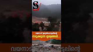 ദുര ന്ത മുഖത്തെ ഞെട്ടിക്കുന്ന ദൃശ്യം  wayanad land slide  chooral mala  heavy rain [upl. by Ynattir]