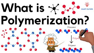 What is Polymerization [upl. by Oirasan]