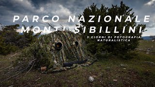 3 giorni di fotografia naturalistica  Parco Nazionale dei Monti Sibillini [upl. by Downe]