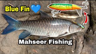 Mahseer Fishing KeralaKannurകണ്ണൂരിൽ നിന്നും ഒരു മഹ്ഷീർ പിടുത്തംMahseerfishingfishing [upl. by Oloapnaig]